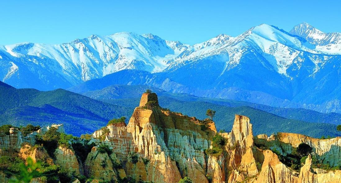 La Galerie Du Peintre Daire Saint-Laurent-de-la-Salanque Dış mekan fotoğraf