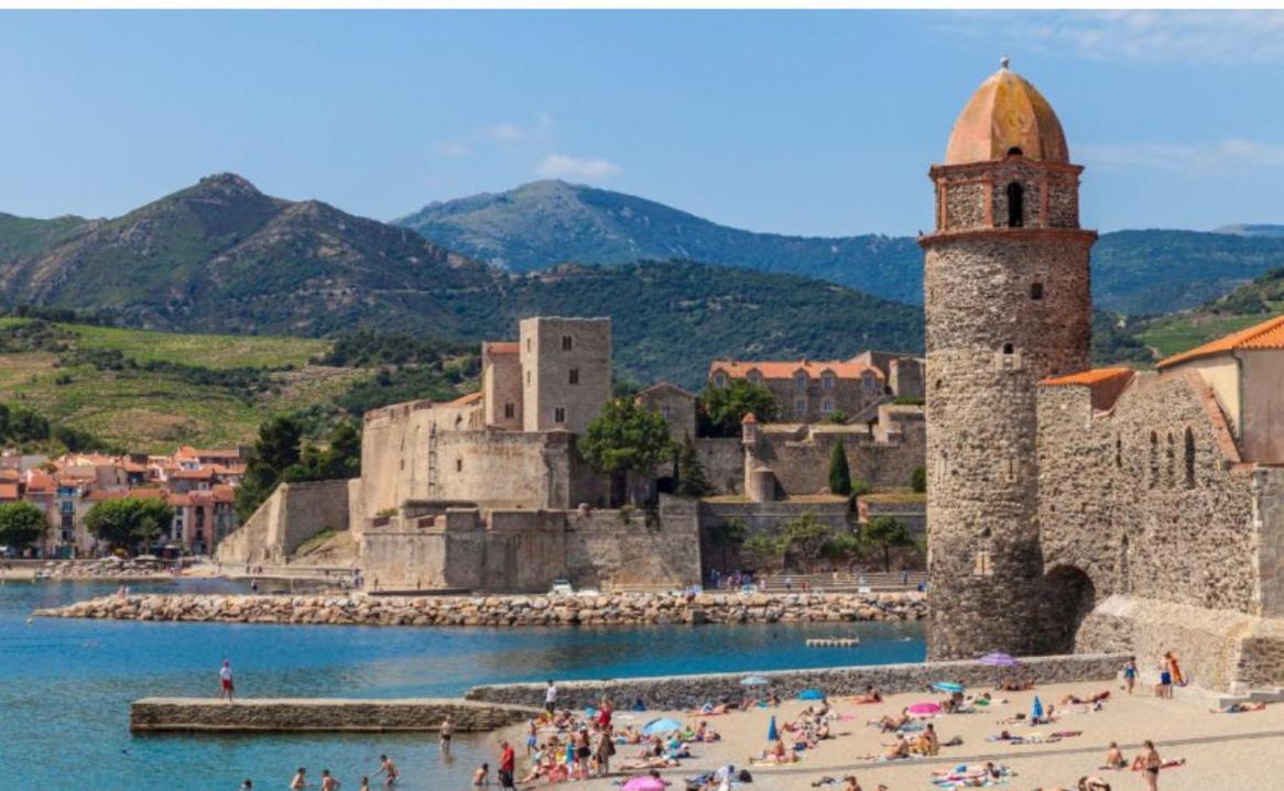La Galerie Du Peintre Daire Saint-Laurent-de-la-Salanque Dış mekan fotoğraf