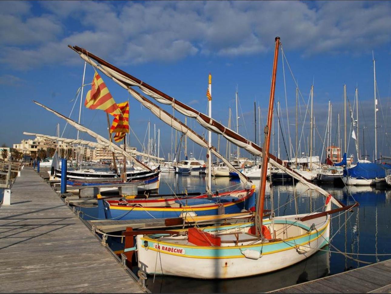 La Galerie Du Peintre Daire Saint-Laurent-de-la-Salanque Dış mekan fotoğraf
